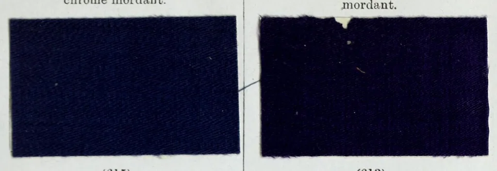 An illustration from A manual of dyeing : for the use of practical dyers, manufacturers, students, and all interested in the art of dyeing, 1893, leaf 51