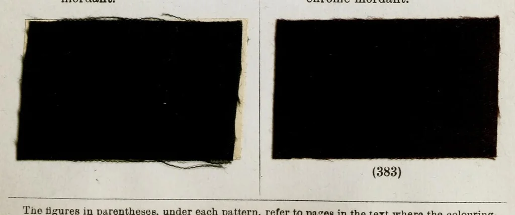 An illustration from A manual of dyeing : for the use of practical dyers, manufacturers, students, and all interested in the art of dyeing, 1893, leaf 31