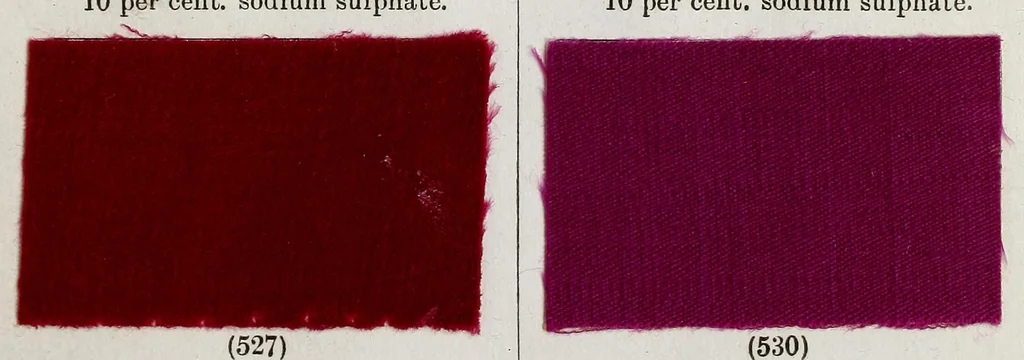 An illustration from A manual of dyeing : for the use of practical dyers, manufacturers, students, and all interested in the art of dyeing, 1893, leaf 33