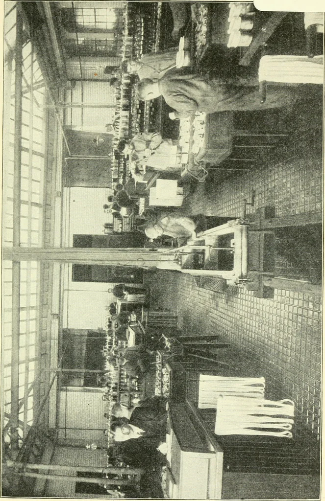 An illustration from A manual of dyeing with the dyestuffs of the Cassella color company, New York .., 1911, leaf 4