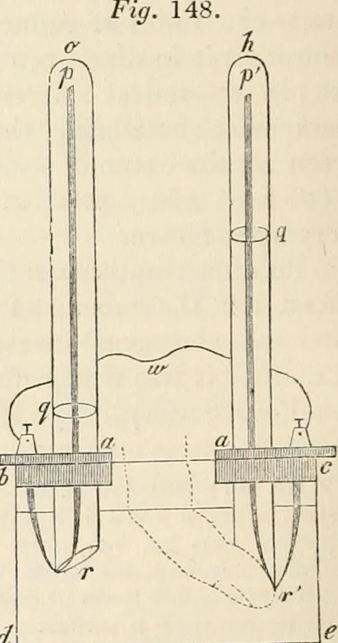 An illustration from A manual of electricity, magnetism and meteorology, 1844, leaf 381