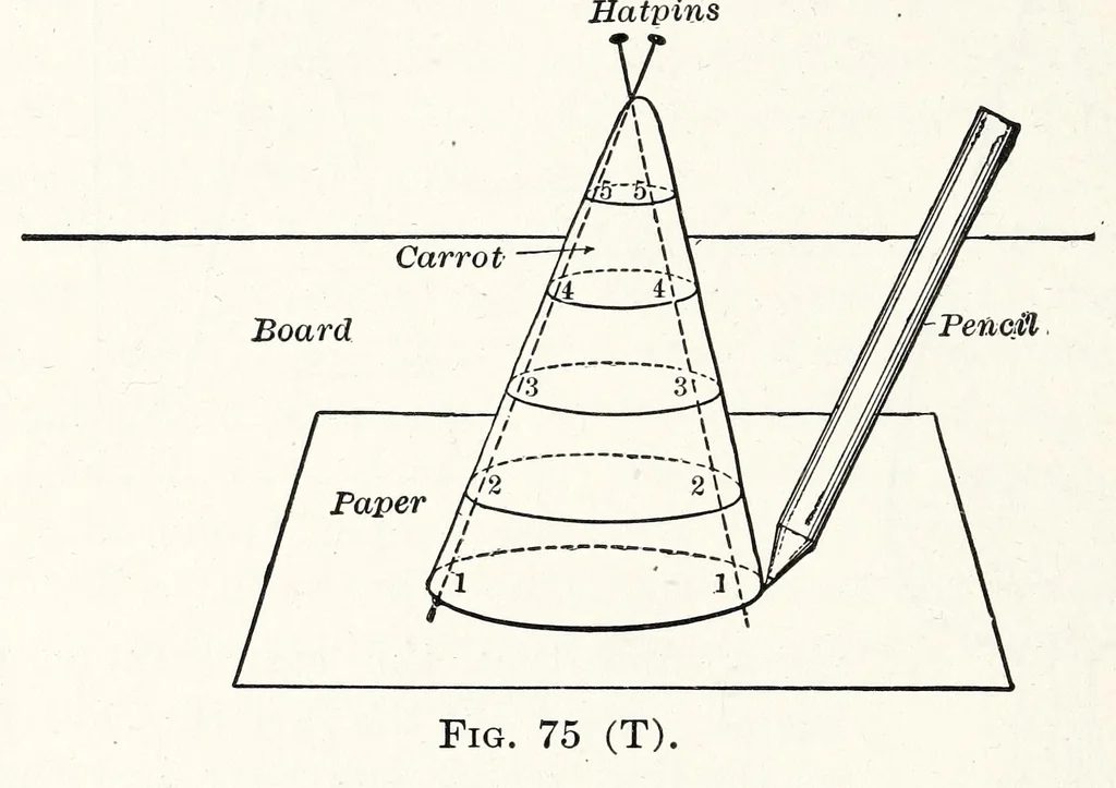 An illustration from A Manual of Experiments in Elementary Science: Teacher's Edition, 1918, leaf 154