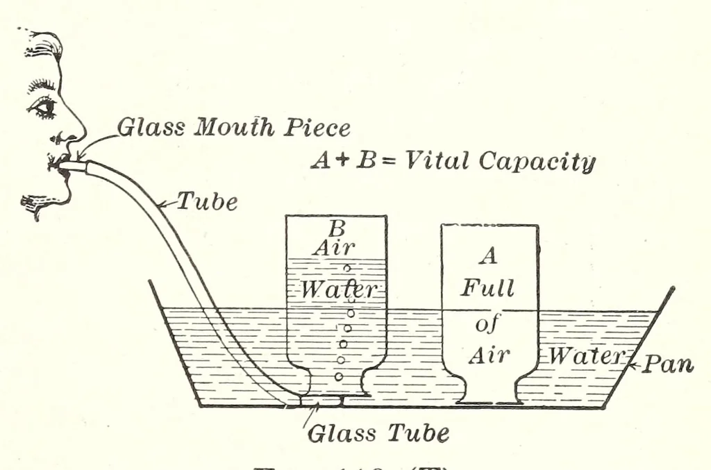 An illustration from A Manual of Experiments in Elementary Science: Teacher's Edition, 1918, leaf 223
