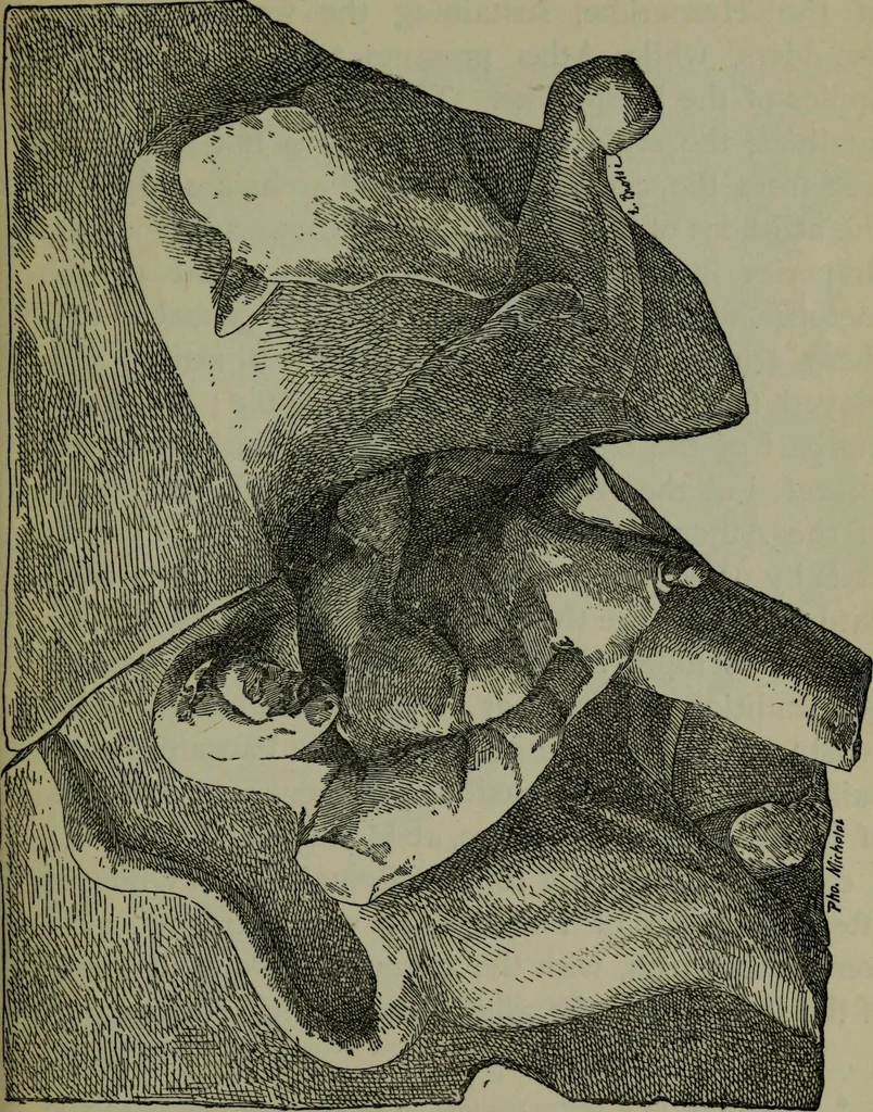 An illustration from A manual of Greek archaeology, 1886, leaf 192