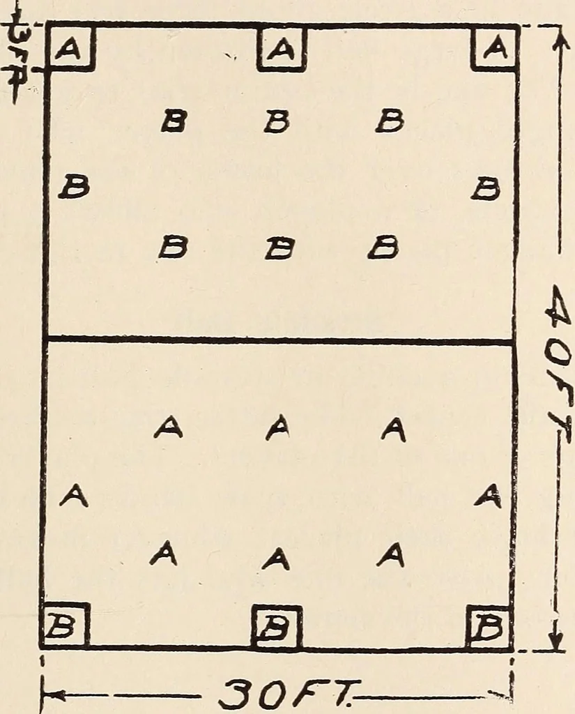 An illustration from Manual of gymnastics, games, action plays, rhythmic plays and rhythmic steps for the elementary schools of Reading, Pennsylvania, comp. by Alexander A. Harwick .., 1918, leaf 208
