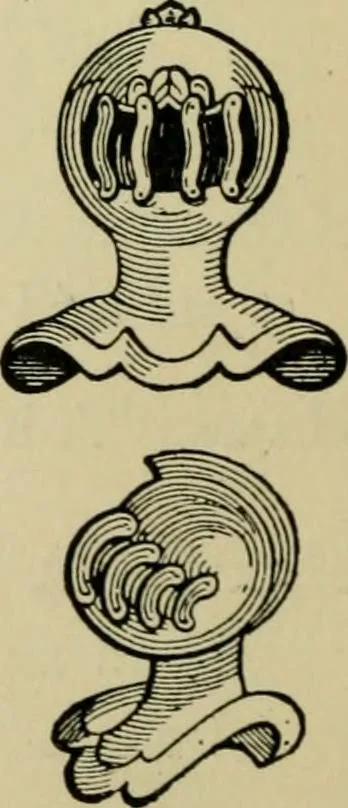 An illustration from The manual of heraldry : a concise description of the several terms used and containing a dictionary of every designation in the science / by Francis J. Grant, 1914, leaf 105