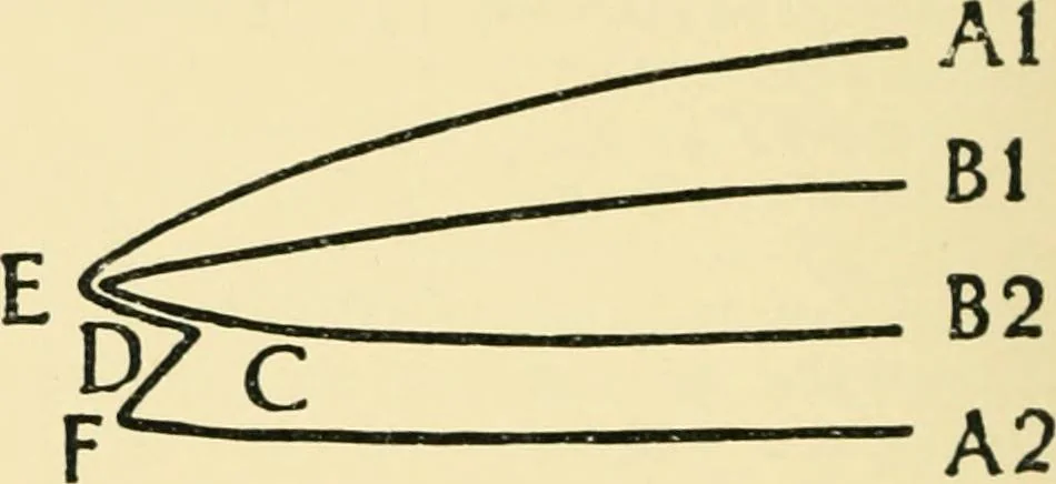 An illustration from Manual of library bookbinding practical and historical, 1911, leaf 17