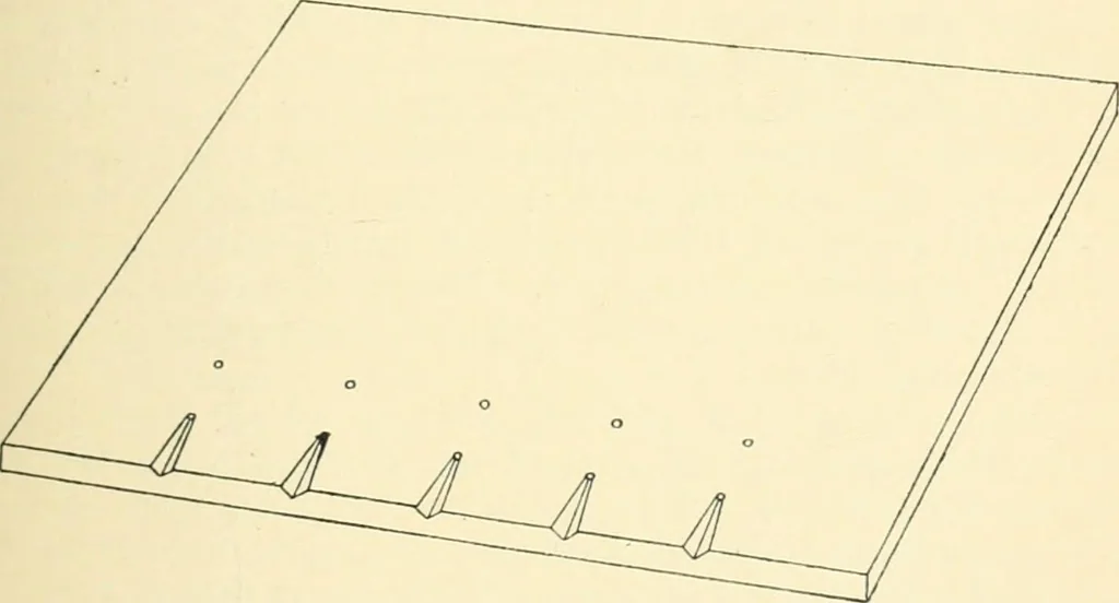 An illustration from Manual of library bookbinding practical and historical, 1911, leaf 22