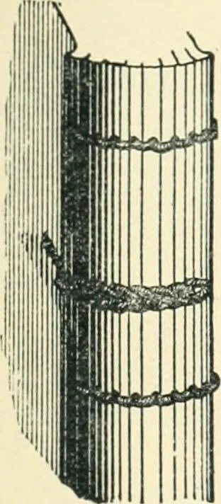An illustration from Manual of library bookbinding practical and historical, 1911, leaf 30