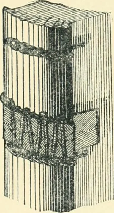 An illustration from Manual of library bookbinding practical and historical, 1911, leaf 30