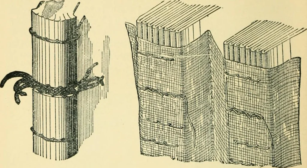 An illustration from Manual of library bookbinding practical and historical, 1911, leaf 31
