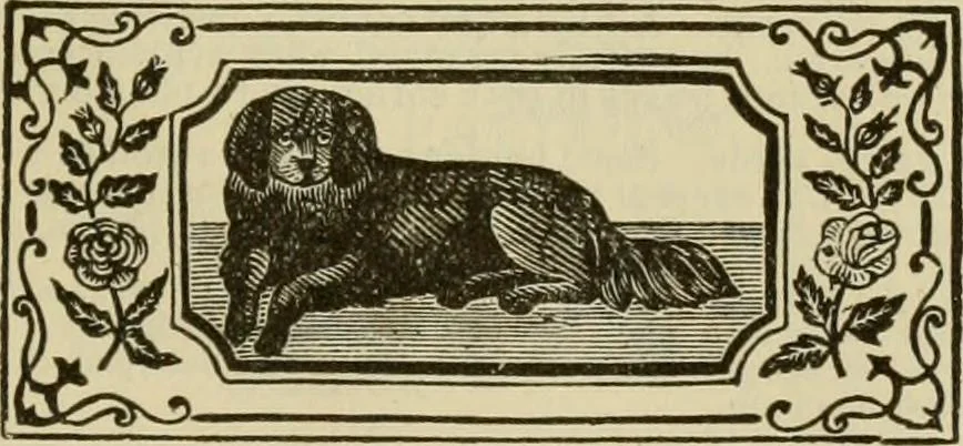 An illustration from Manual of needlework. Teaching how to do Kensington, applique, cretonne, roman, cross-stitch, outline and other embroideries .., 1883, leaf 108