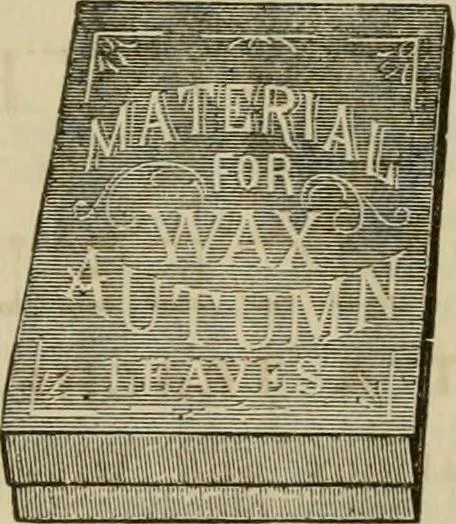 An illustration from Manual of needlework. Teaching how to do Kensington, applique, cretonne, roman, cross-stitch, outline and other embroideries .., 1883, leaf 111