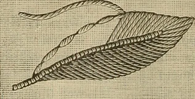 An illustration from Manual of needlework. Teaching how to do Kensington, applique, cretonne, roman, cross-stitch, outline and other embroideries .., 1883, leaf 13