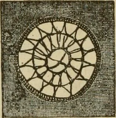 An illustration from Manual of needlework. Teaching how to do Kensington, applique, cretonne, roman, cross-stitch, outline and other embroideries .., 1883, leaf 15