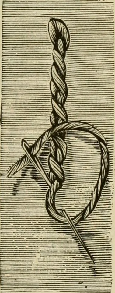 An illustration from Manual of needlework. Teaching how to do Kensington, applique, cretonne, roman, cross-stitch, outline and other embroideries .., 1883, leaf 16