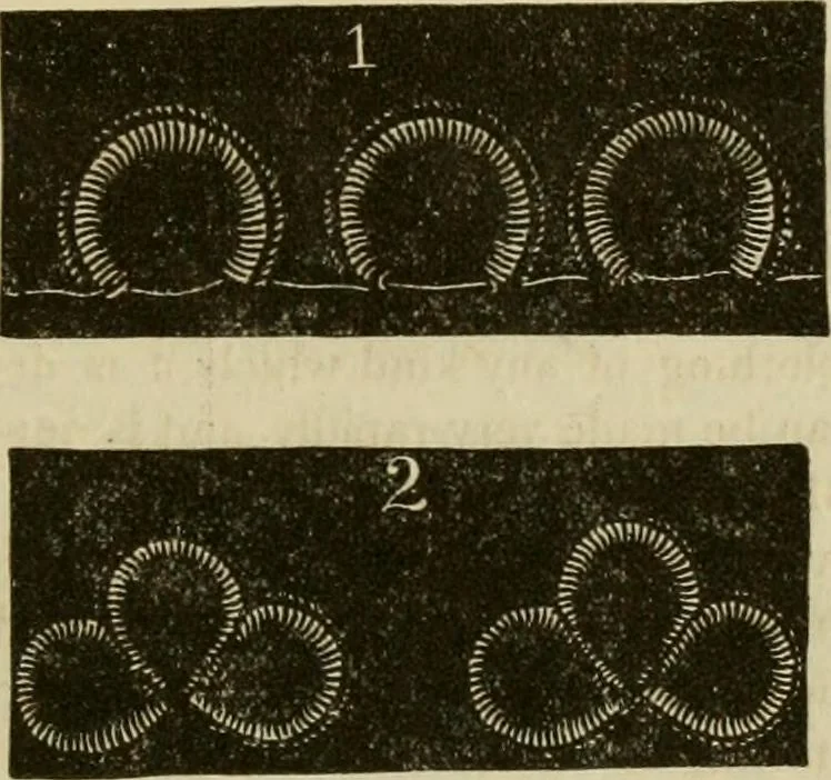 An illustration from Manual of needlework. Teaching how to do Kensington, applique, cretonne, roman, cross-stitch, outline and other embroideries .., 1883, leaf 60
