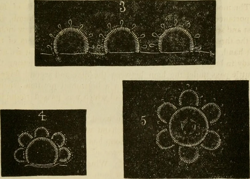 An illustration from Manual of needlework. Teaching how to do Kensington, applique, cretonne, roman, cross-stitch, outline and other embroideries .., 1883, leaf 60
