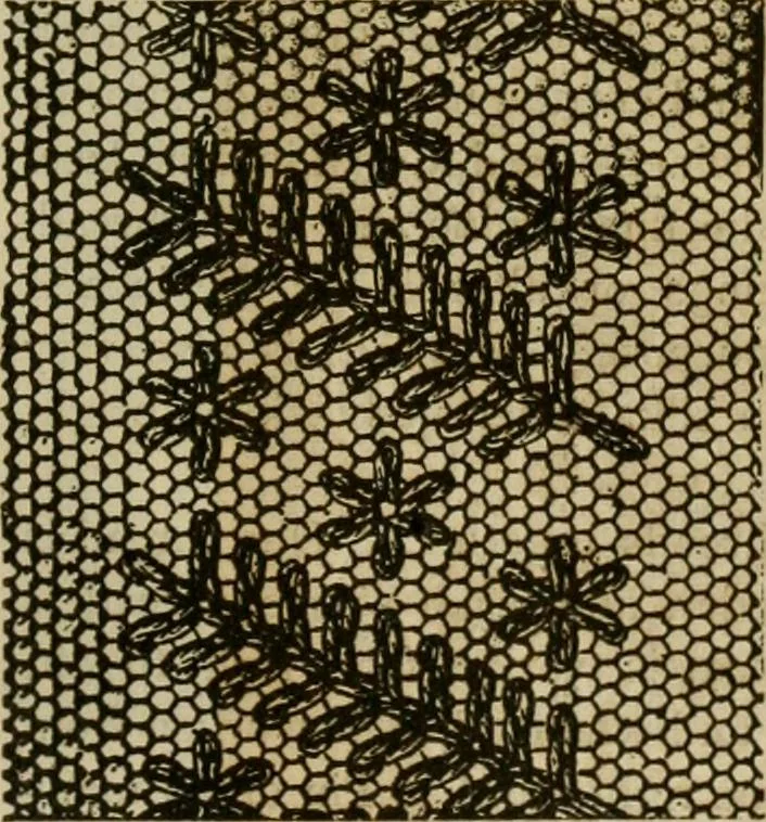 An illustration from Manual of needlework. Teaching how to do Kensington, applique, cretonne, roman, cross-stitch, outline and other embroideries .., 1883, leaf 92