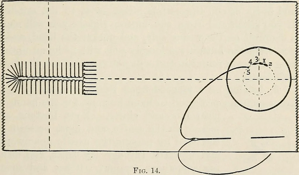 An illustration from A manual of needlework, knitting and cutting out for evening continuation schools, 1894, leaf 32