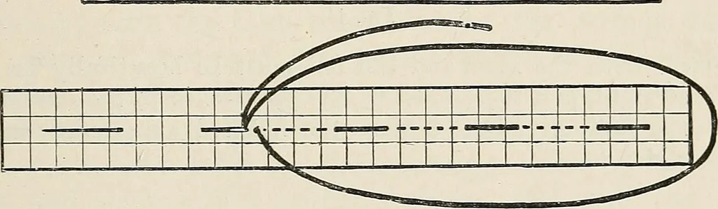 An illustration from A manual of needlework, knitting and cutting out for evening continuation schools, 1894, leaf 82