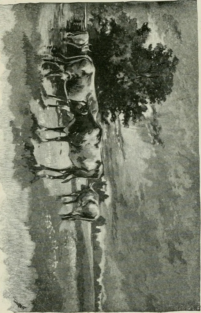 An illustration from A manual of photo-engraving : containing practical instructions for producing photo-engraved plates in relief-line and half-tone with chapters on dry plate development and half-tone color work, 1896, leaf 188
