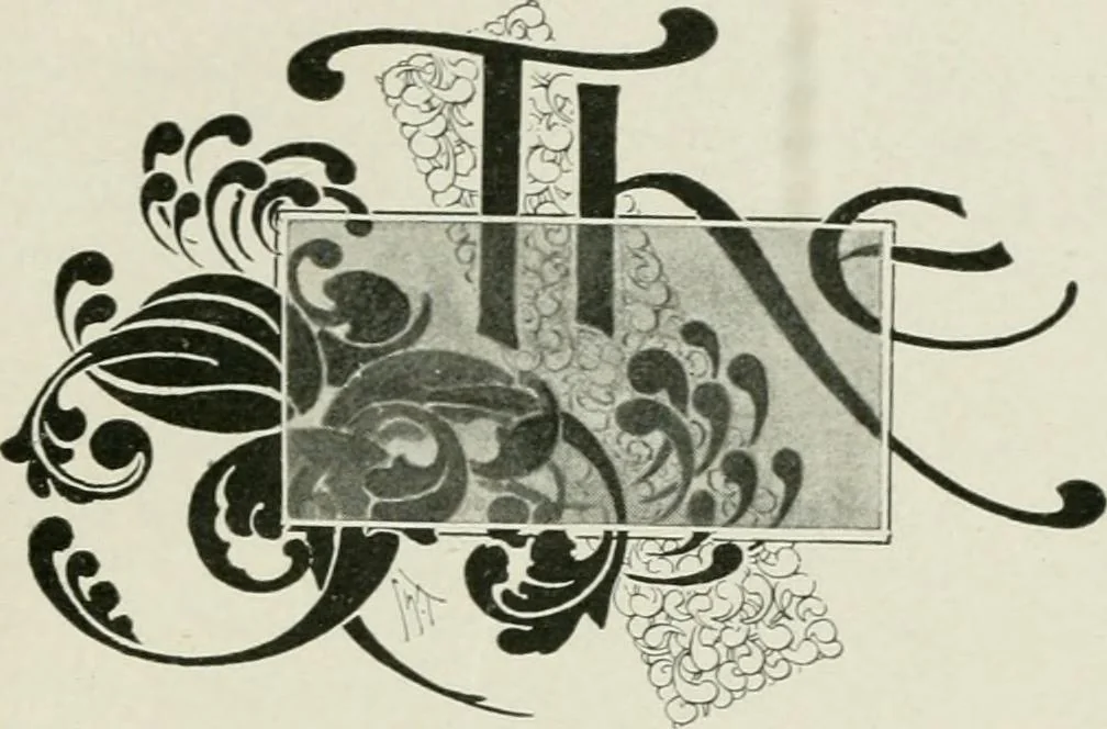 An illustration from A manual of photo-engraving : containing practical instructions for producing photo-engraved plates in relief-line and half-tone with chapters on dry plate development and half-tone color work, 1896, leaf 192