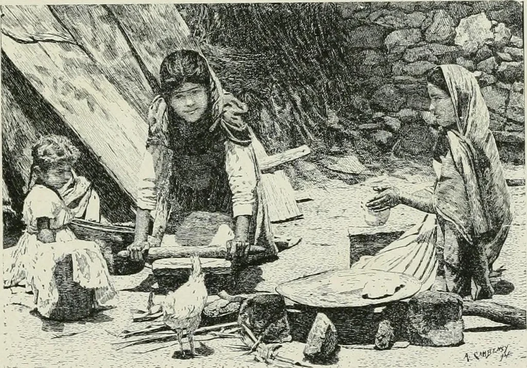 An illustration from A manual of photo-engraving : containing practical instructions for producing photo-engraved plates in relief-line and half-tone with chapters on dry plate development and half-tone color work, 1896, leaf 64