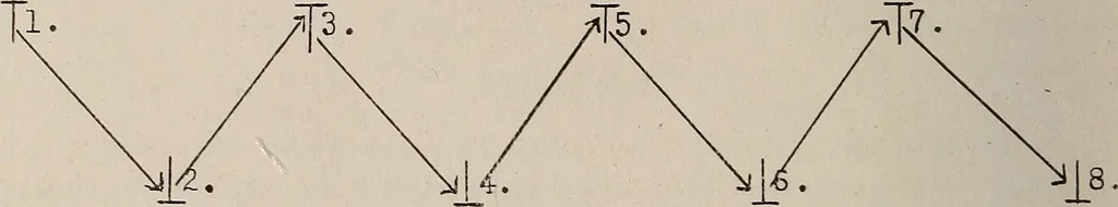 An illustration from Manual of physical training and games, 1916, leaf 119