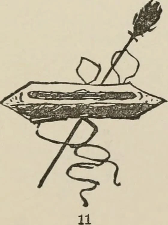 An illustration from A manual of pottery and porcelain for American collectors, 1872, leaf 108