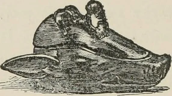 An illustration from A manual of pottery and porcelain for American collectors, 1872, leaf 95