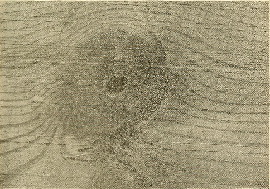 An illustration from Manual of recommended practice for railway engineering and maintenance of way, 1905, leaf 86