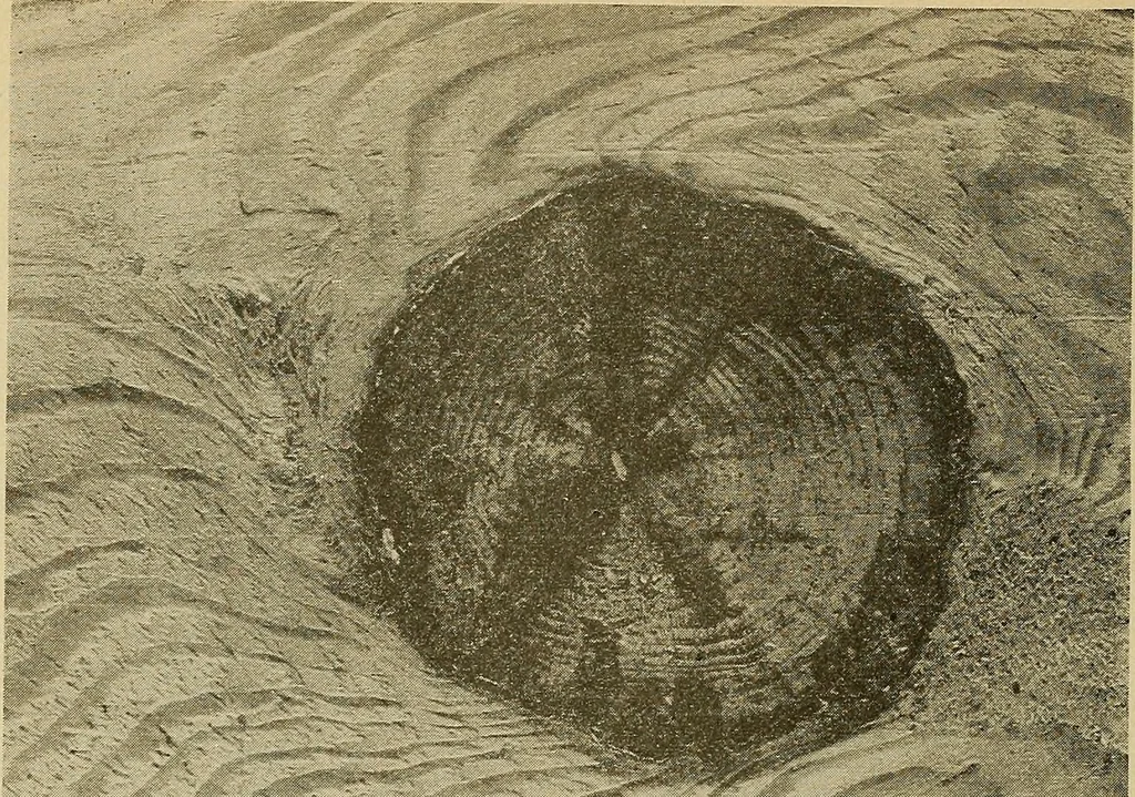 An illustration from Manual of recommended practice for railway engineering and maintenance of way, 1905, leaf 87