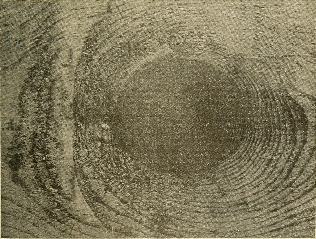 An illustration from Manual of recommended practice for railway engineering and maintenance of way, 1905, leaf 88