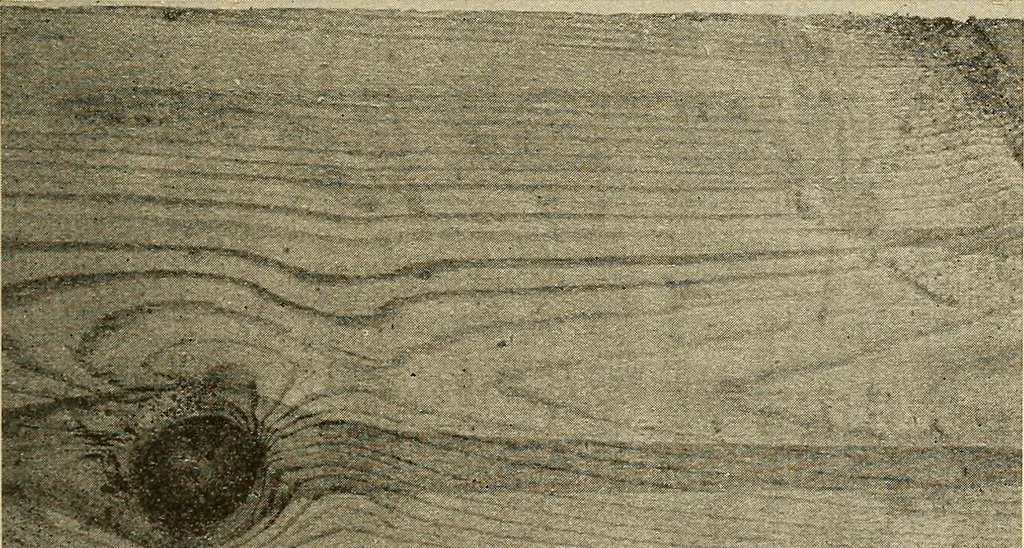An illustration from Manual of recommended practice for railway engineering and maintenance of way, 1905, leaf 90