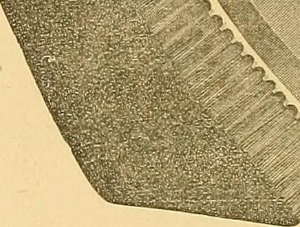 An illustration from The manual of reference of the textile workers of America, 1896, leaf 73