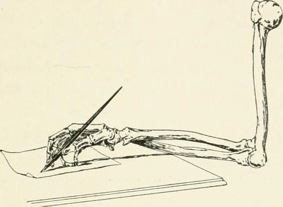 An illustration from A manual of the study of documents to establish the individual character of handwriting and to detect fraud and forgery, including several new methods of research, 1894, leaf 34