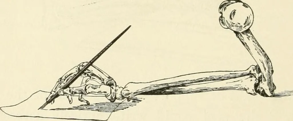 An illustration from A manual of the study of documents to establish the individual character of handwriting and to detect fraud and forgery, including several new methods of research, 1894, leaf 35