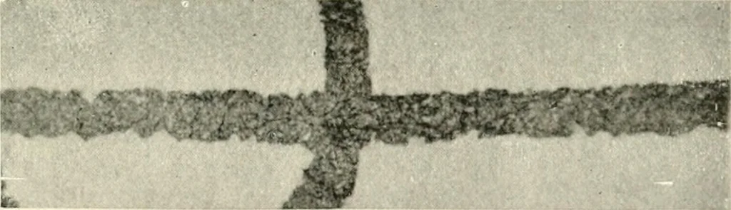 An illustration from A manual of the study of documents to establish the individual character of handwriting and to detect fraud and forgery, including several new methods of research, 1894, leaf 64