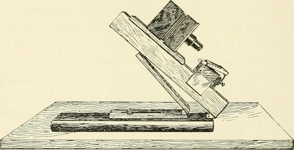 An illustration from A manual of the study of documents to establish the individual character of handwriting and to detect fraud and forgery, including several new methods of research, 1894, leaf 73