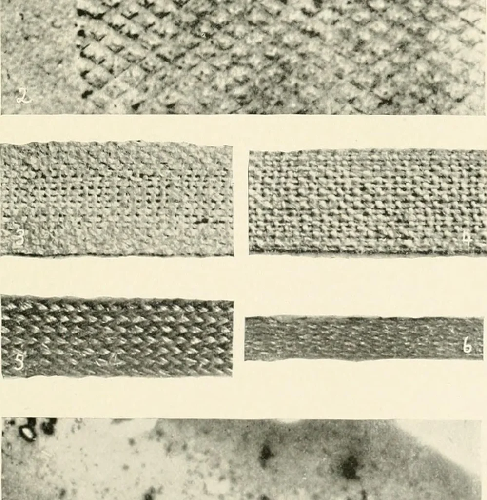 An illustration from A manual of the study of documents to establish the individual character of handwriting and to detect fraud and forgery, including several new methods of research, 1894, leaf 98