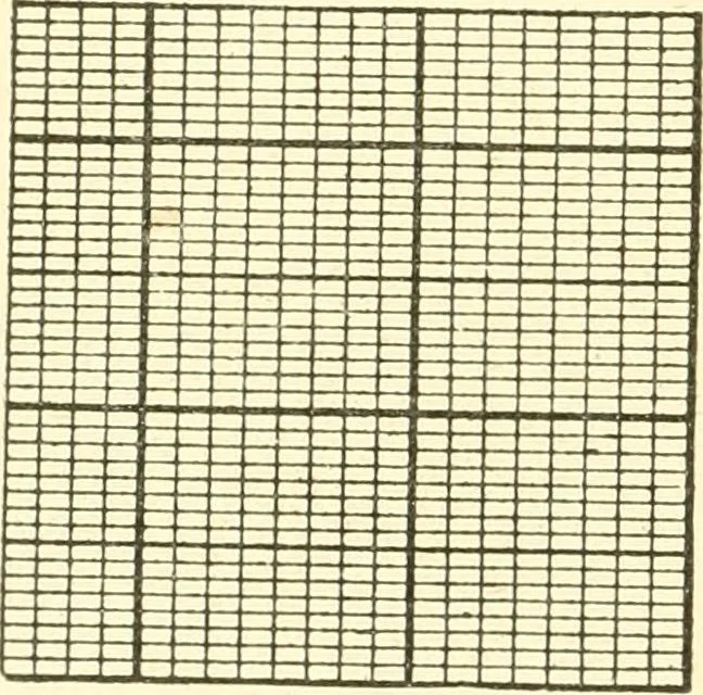 An illustration from A manual of weave construction; a systematic arrangement and explanation of the foundation and derivative weaves for harness looms, 1903, leaf 15