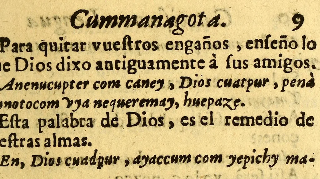 An illustration from Manual para catekizar, y administrar los santos sacramentos à los Indios que habitan la Prouincia de la Nueua Andaluzia, y Nueua Barcelona, y San Christoval de los Cumanagotos. ..., 1683, leaf 29