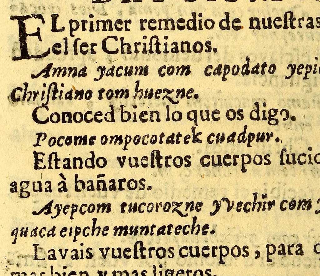 An illustration from Manual para catekizar, y administrar los santos sacramentos à los Indios que habitan la Prouincia de la Nueua Andaluzia, y Nueua Barcelona, y San Christoval de los Cumanagotos. ..., 1683, leaf 50