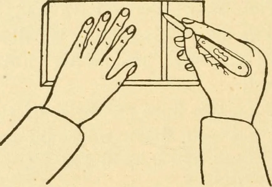 An illustration from Manual training. Elementary woodwork;, 1893, leaf 45