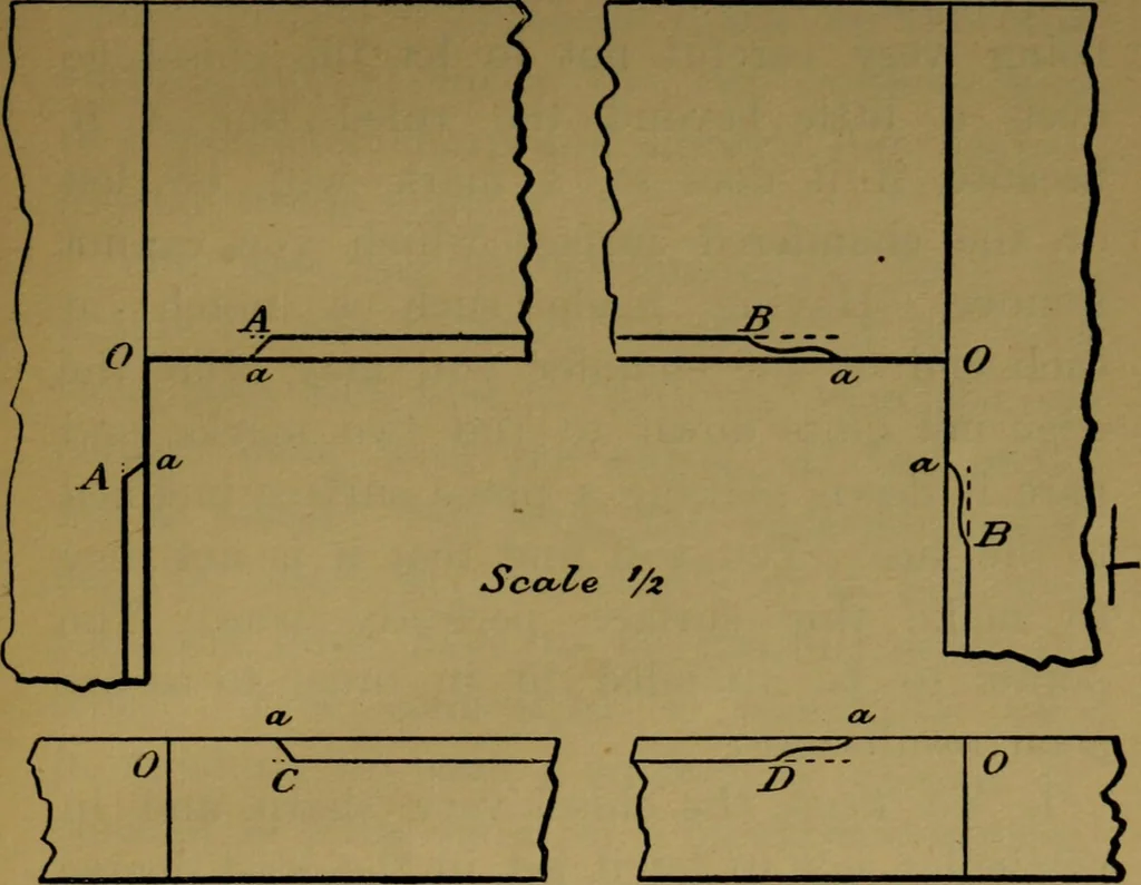 An illustration from Manual training : first lessons in wood-working, 1888, leaf 188