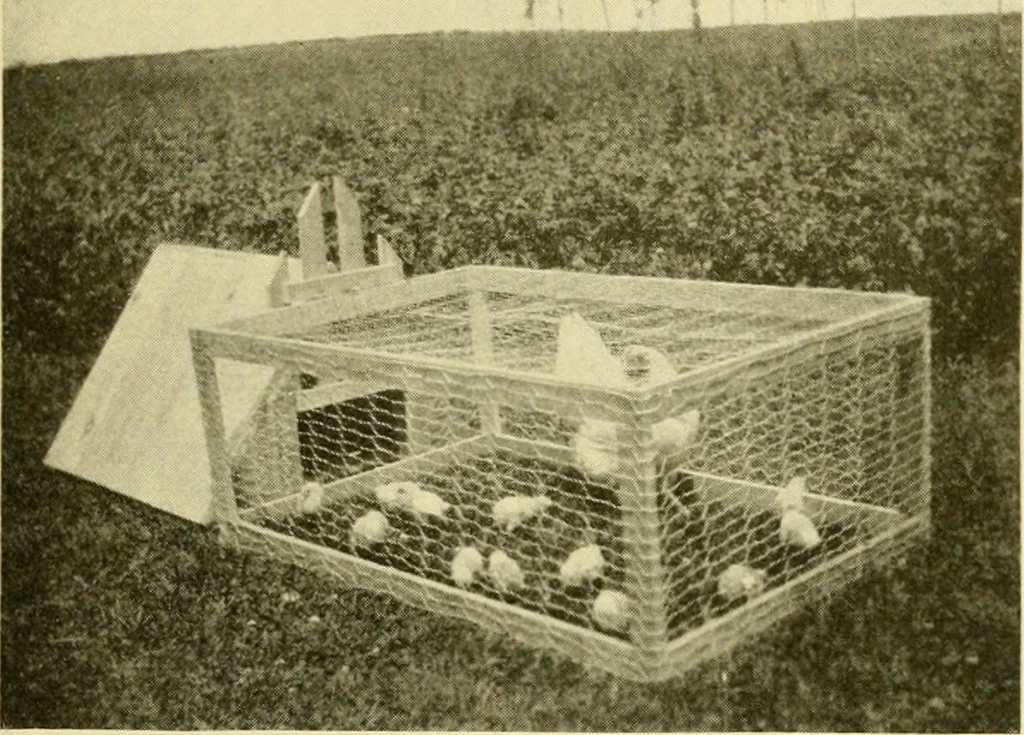 An illustration from Manual training for the rural schools; a group of farm and farm home woodworking problems, 1916, leaf 40