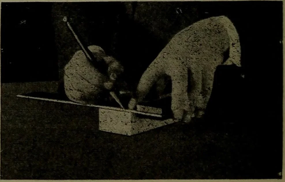 An illustration from Manual training for the rural schools; a group of farm and farm home woodworking problems, 1922, leaf 11