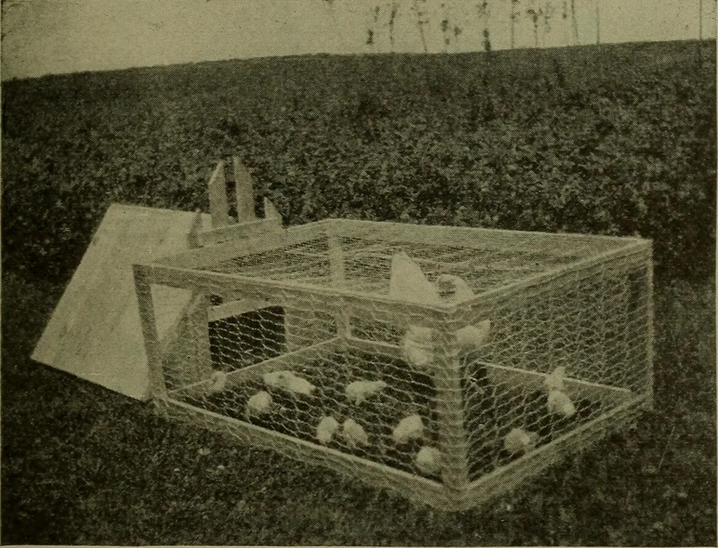 An illustration from Manual training for the rural schools; a group of farm and farm home woodworking problems, 1922, leaf 42