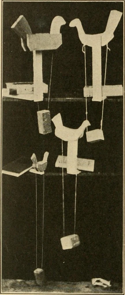 An illustration from Manual training--play problems; constructive work for boys and girls based on the play interest, 1917, leaf 107